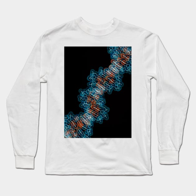 Computer artwork of a segment of beta DNA (G110/0486) Long Sleeve T-Shirt by SciencePhoto